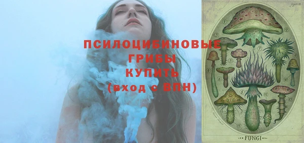стафф Абинск