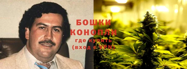 бошки Алексин