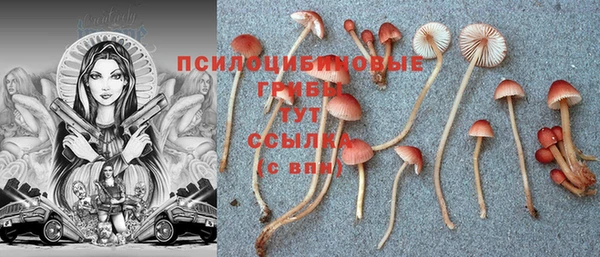 герыч Алзамай