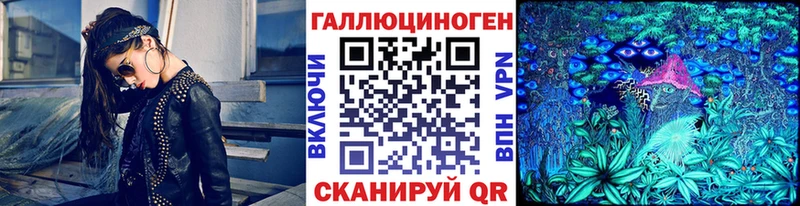 Псилоцибиновые грибы Cubensis  Вытегра 